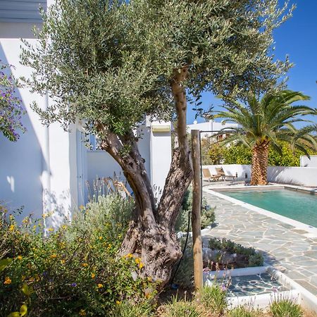 Amphitrite Apartments Skyros Zewnętrze zdjęcie