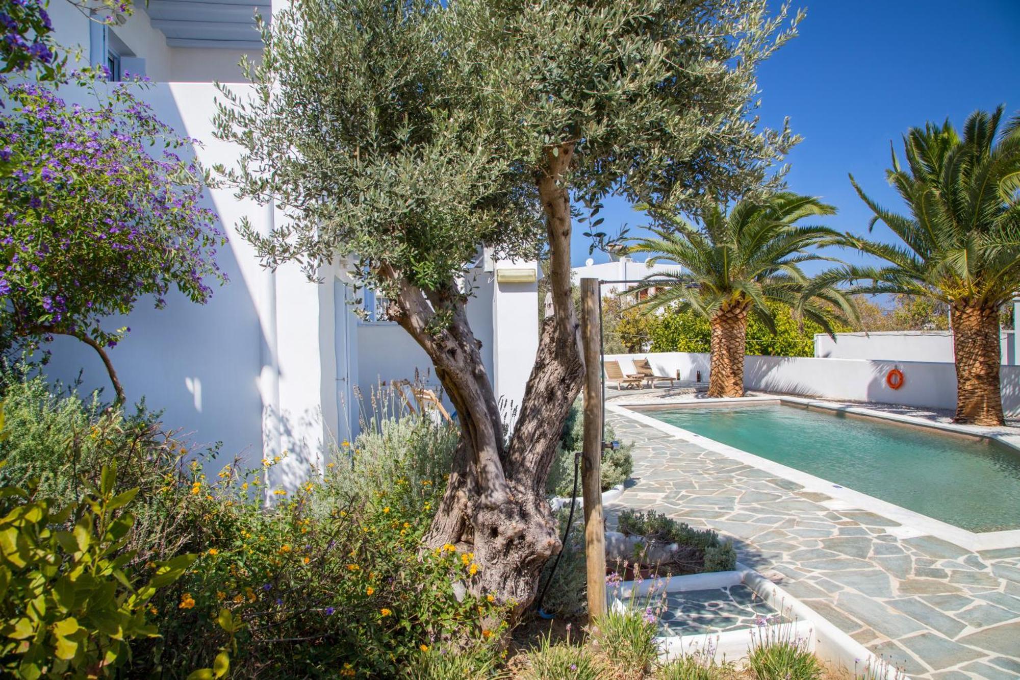 Amphitrite Apartments Skyros Zewnętrze zdjęcie